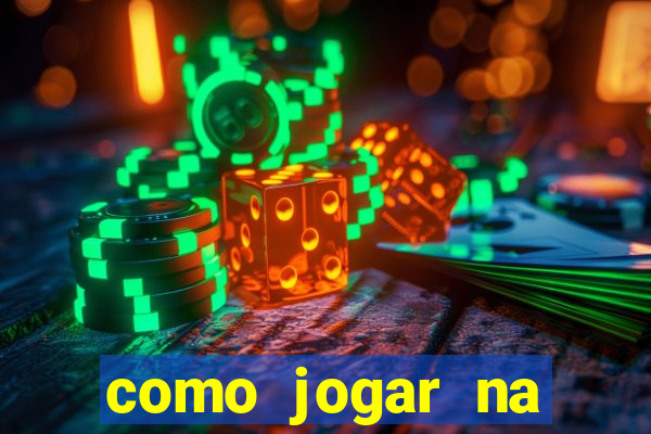 como jogar na lotinha do jogo do bicho